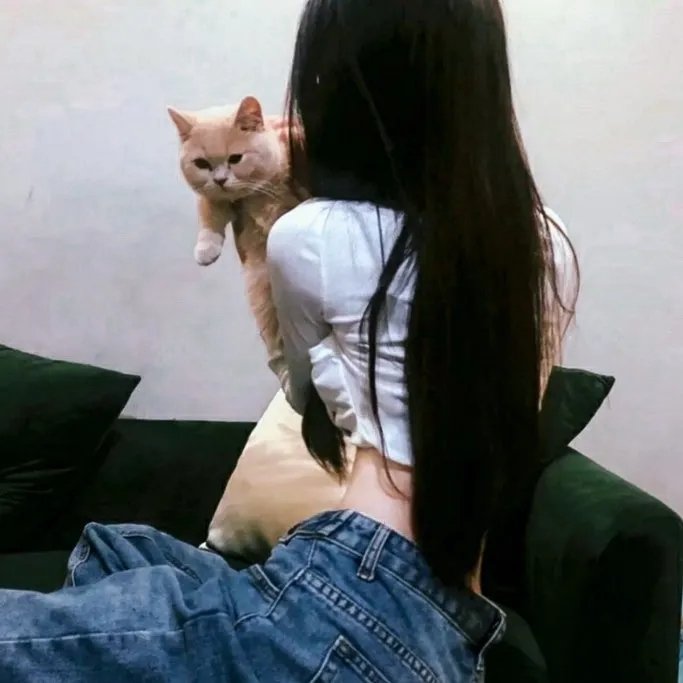 矢在弦上第一季